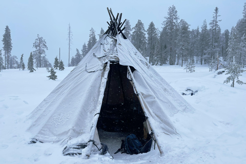 Arctic Gateway: Snowshoeing Expedition in Lapland