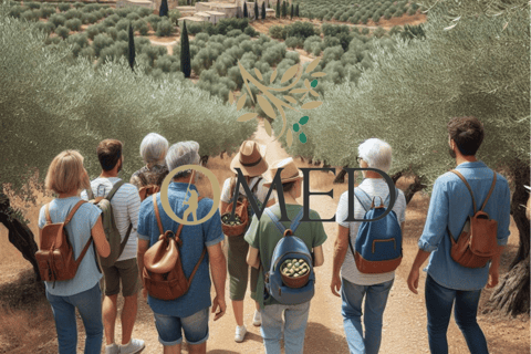 Granada in EVOO: Olive grove guided tour and sensory tasting