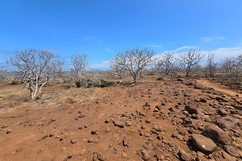 3 visites d&#039;une jounée dans l&#039;archipel des Galápagos