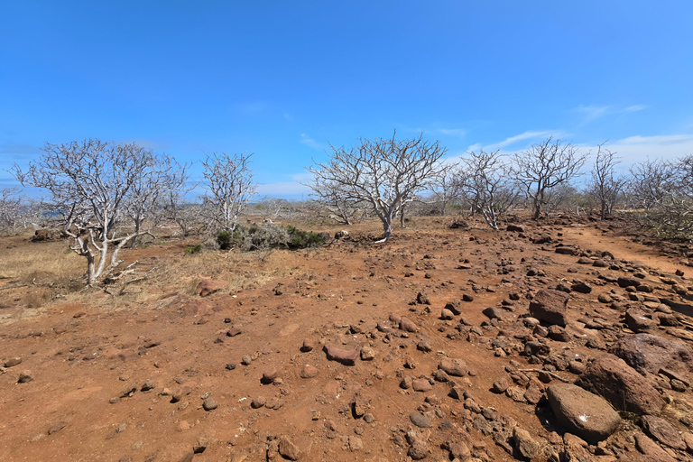 3 visites d&#039;une jounée dans l&#039;archipel des Galápagos