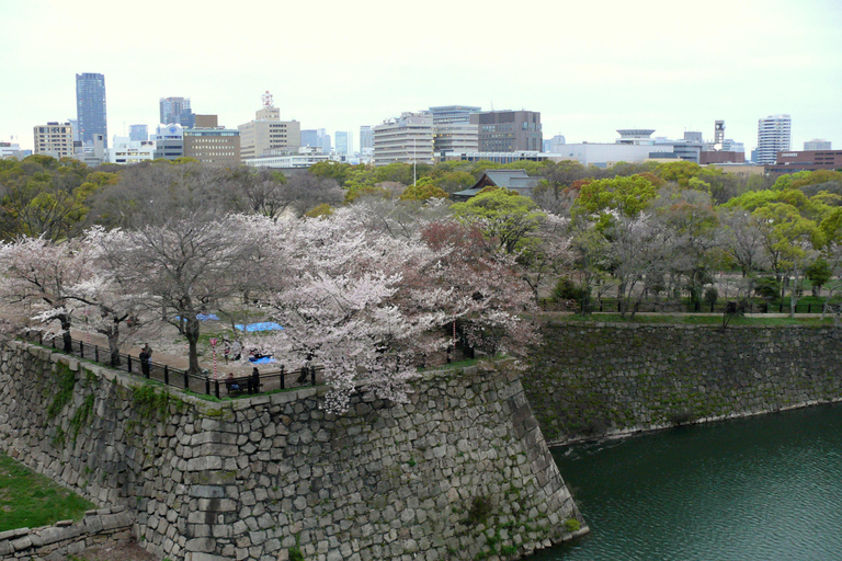 Osaka: Osaka Castle & Samurai History Walking Tour Small Group Tour with Entrance fee
