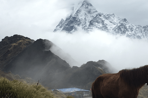 Desde Katmandú: Trekking de 10 días al Mardi Himal con alojamientoDesde Katmandú: Trekking de 10 días por Mardi Himal con alojamiento
