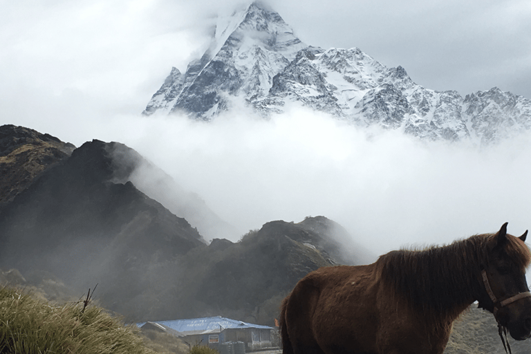 Desde Katmandú: Trekking de 10 días al Mardi Himal con alojamientoDesde Katmandú: Trekking de 10 días por Mardi Himal con alojamiento