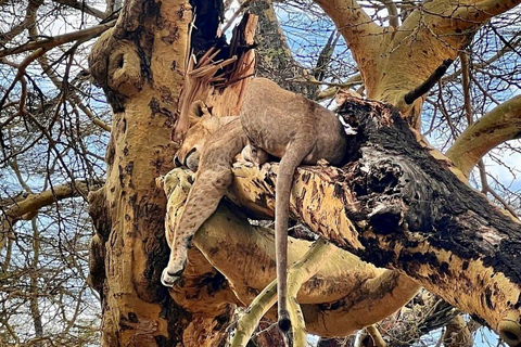 Lake Nakuru & Naivasha National Park Wildlife Highlights