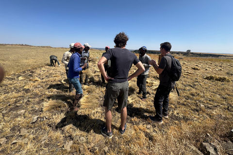 From Addis: Blue Nile Gorge, Baboons & Waterfalls