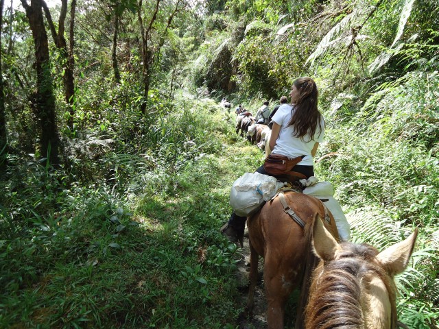 Visit Private Horseback Riding Tour to Tres Chorros Waterfall in San Agustín