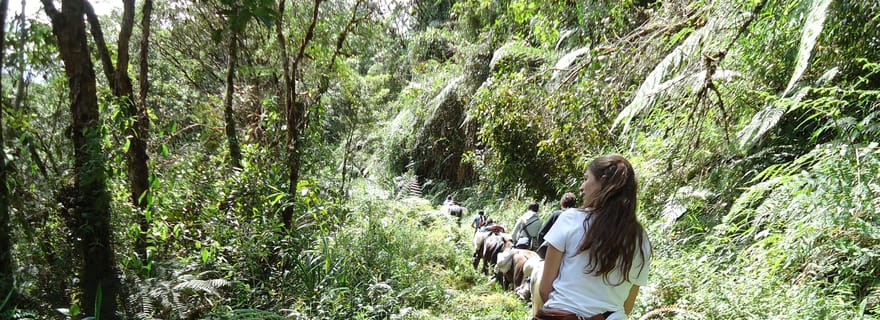 Cascade de Tres Chorros - Excursion équestre privée