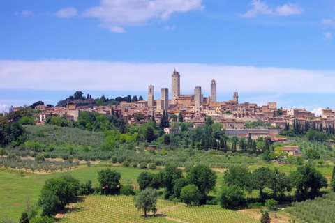 Depuis Rome : Visite de Florence et de la Toscane en train à grande vitesse