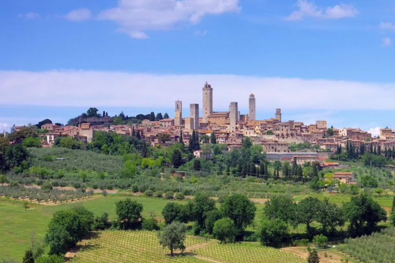 Vanuit Rome: Florence &amp; Toscane dagtour met de hogesnelheidstrein