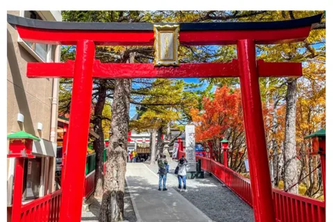 Tokio: Mount Fuji & Hakone Soukromá jednodenní prohlídka autem Nejnižší cena