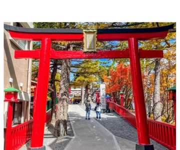 Tokyo: Fuji Dağı ve Hakone Özel Araba Günü Turu En Düşük Fiyat