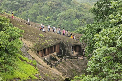 Mumbai Private Kanheri Caves Tour With Pickup and Drop