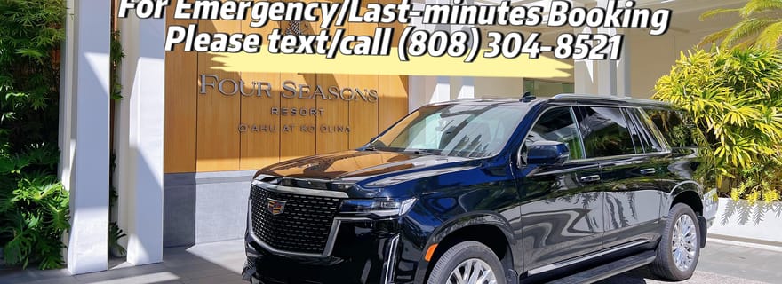 Transfert VIP aller simple : Aéroport d'Honolulu, Ko Olina, Port 2/11