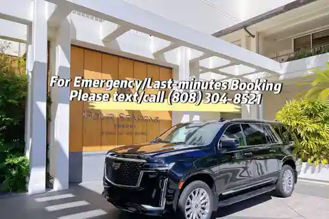 Traslado VIP de ida: Aeropuerto de Honolulu, Ko Olina, Puerto 2/11