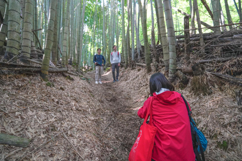 Kyoto: 3-Hour Fushimi Inari Shrine Hidden Hiking Tour