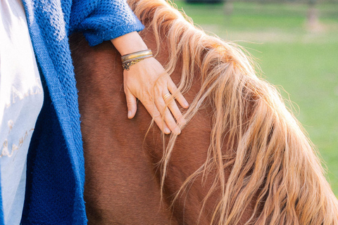 Equicoaching - experience the connection with horses in Normandy Family equicoaching: experience connection with horses - Normandy