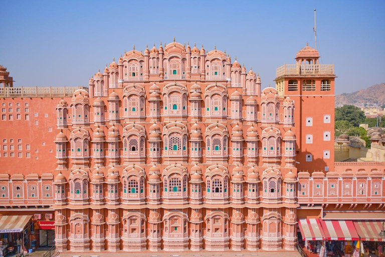 From Delhi: Jaipur Private Day Trip with Monkey Temple Tour with AC Car, Guide and Entry Fee