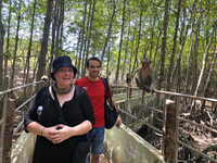 Trekking Can Gio Mangrove Eco Adventure Day Trip - Housity