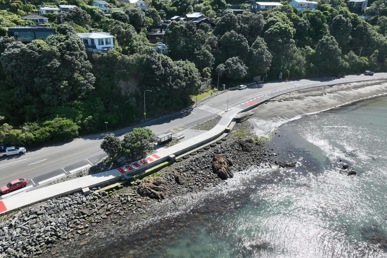 Wellington: eBike around the Harbour then Ferry back