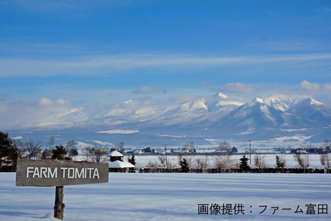 Furano Lavender, Ningle Terrace & Melon Buffet Bus Tour S1-1 [Jun 20 - Aug 9]: Lavender & Buffet