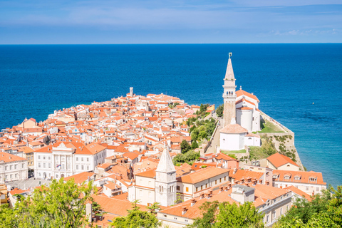 Vanuit Ljubljana: Piran met historische wandeltour