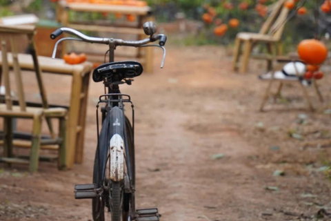 Guilin: Private Wen & Wu Temple Tour with Red Rock Village