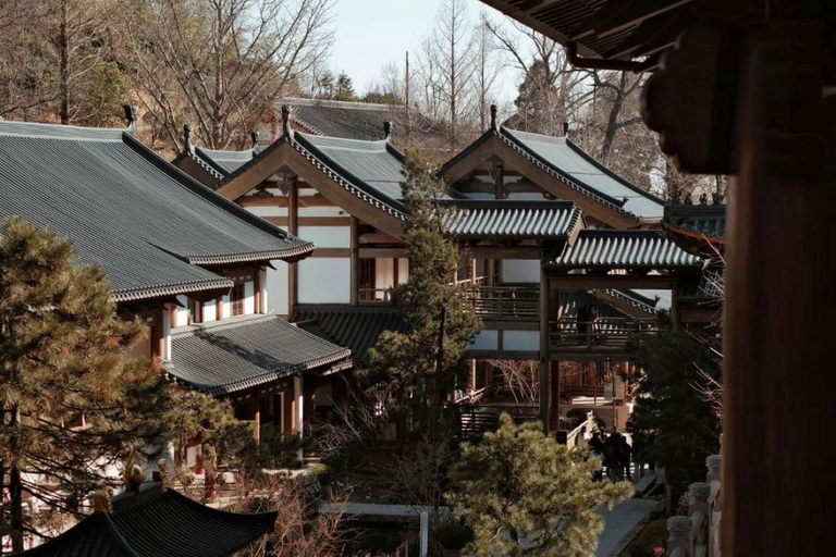 Hangzhou: Liangzhu Ruins & Jingshan Temple Private Tour Private Tour for 4 People