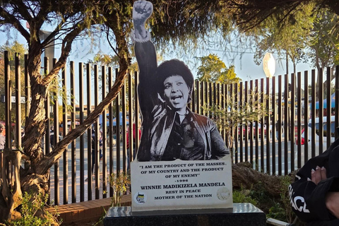 Johannesburg: Apartheid Museum & Soweto Guided Tour