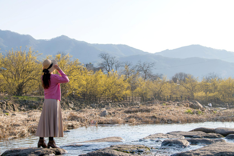 Séoul/Busan : visite d&#039;une journée au festival des pruniers en fleurs de GwangyangDépart de Busan depuis la station de métro de Busan