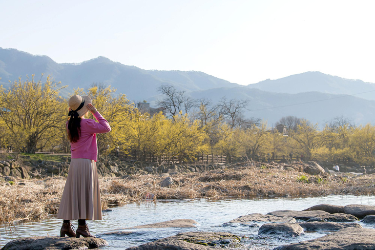 Séoul/Busan : visite d&#039;une journée au festival des pruniers en fleurs de GwangyangDépart de Busan depuis la station de métro de Busan