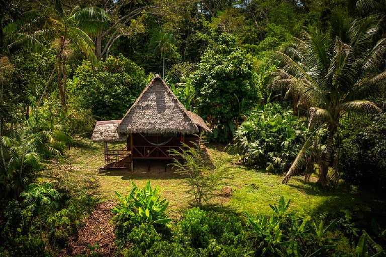 Puerto Maldonado: 4-Day Adventure in the Tambopata Jungle