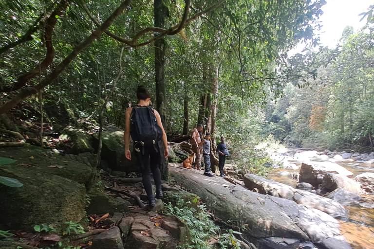 辛哈拉加雨林之旅