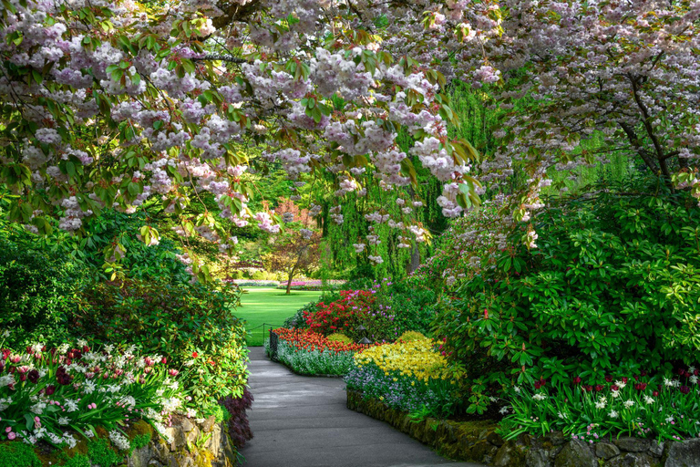 Vancouver: Victoria and Butchart Gardens Day Trip