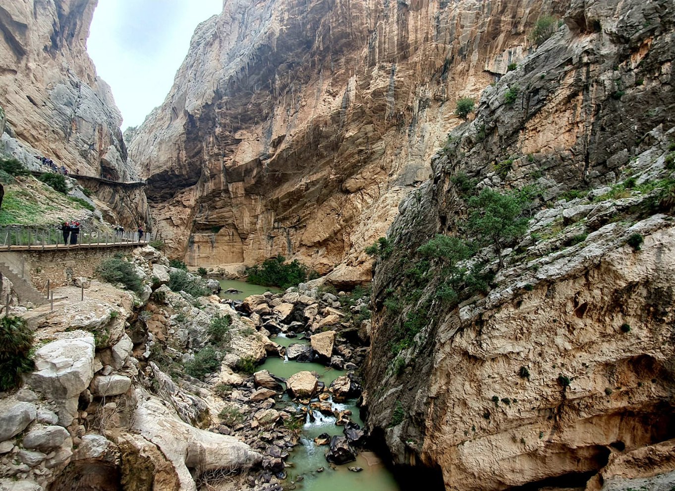 Málaga: Caminito del Rey guidet tur med transport