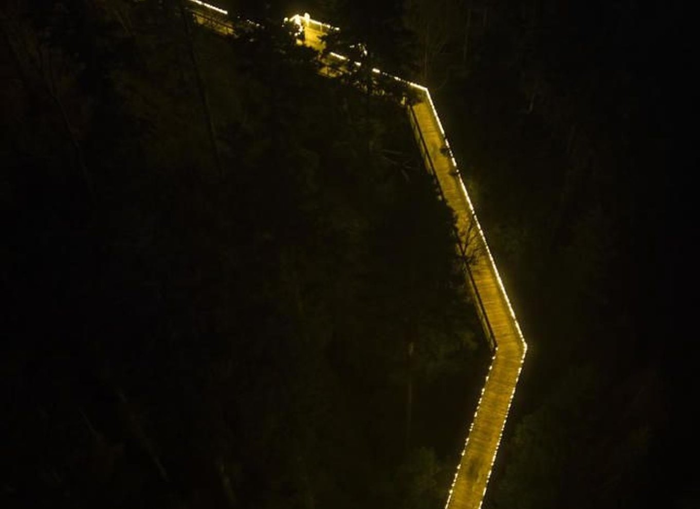 Schwarzwald: Treetop Walk & Lookout Tower Experience