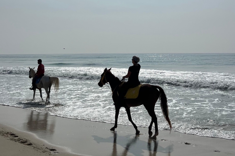 Paardrijden bij het strand