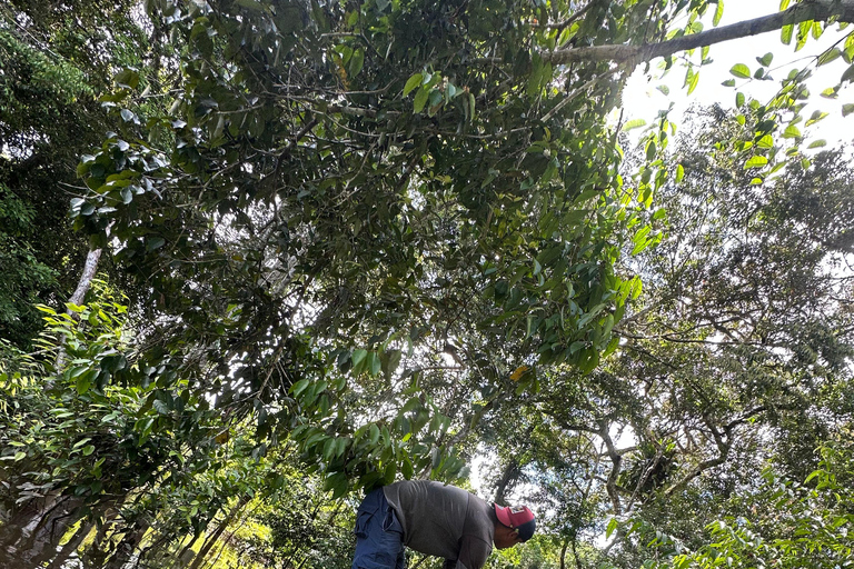 Plan Amazonas Volledig Extreem 5 dagen 4 nachten | Leticia Amazonas