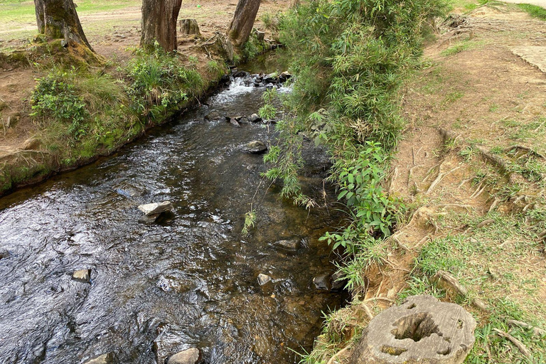 Medellín natural: jardim botânico, parque Arví, monte El volador e almoço.