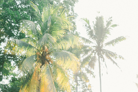 Fiji: Natadola Beach Horseback Riding Tour