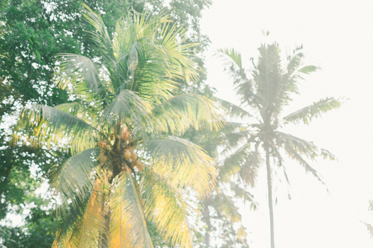 Fiji: Natadola Beach Horseback Riding Tour