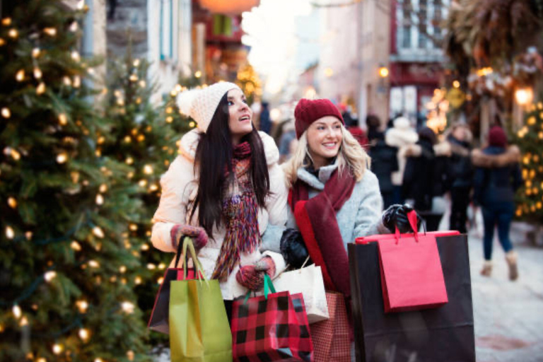 Visite à pied privée de la magie de Noël à QuébecQuébec : visite à pied privée de la magie de Noël