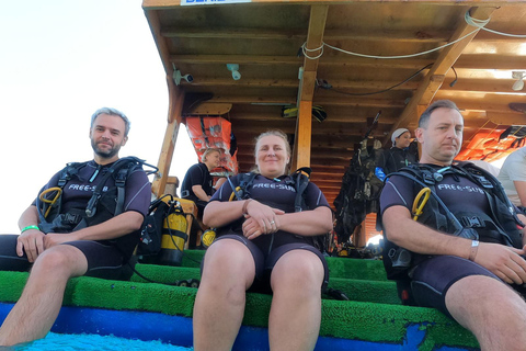 Side Underwater Museum Diving Adventure Side: Guided Scuba Diving Experience with Two Boat Dives
