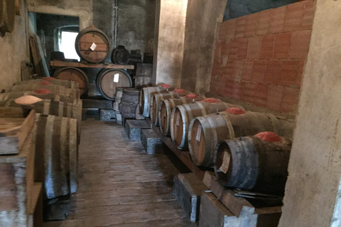 Florence: Siena, San Gimignano and Chianti Wine Tour