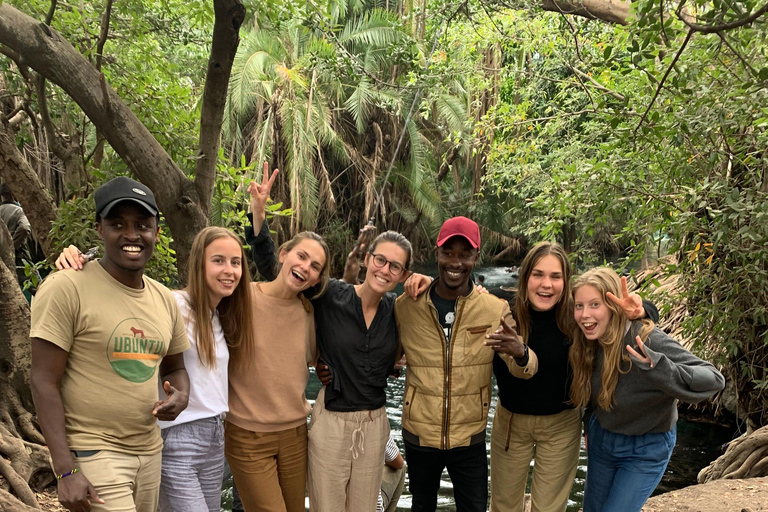 Cascate di Materuni, tour del caffè e sorgenti termali di Chemka: Gita di un giorno