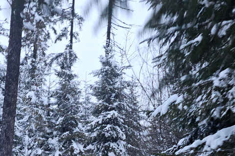 Krakow: Zakopane Snowmobile & Kulig Day Trip with Dinner