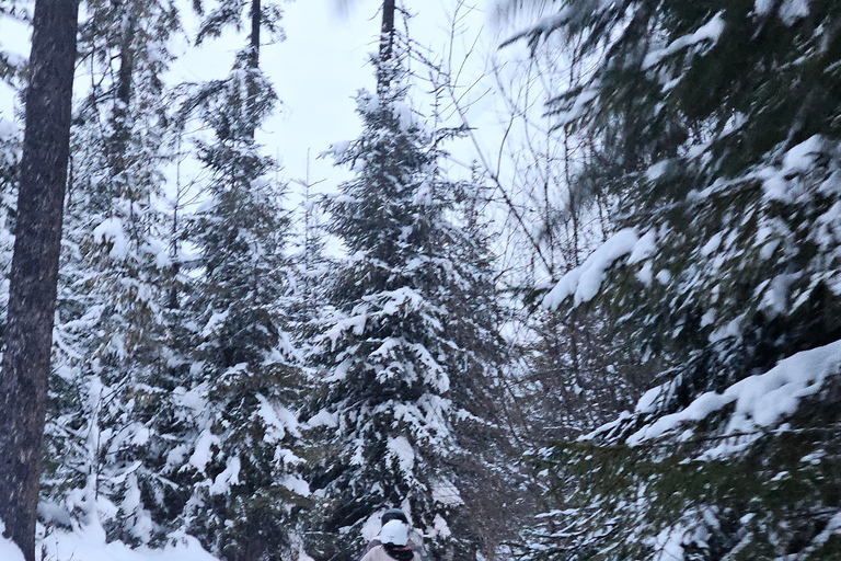 Krakow: Zakopane Snowmobile & Kulig Day Trip with Dinner