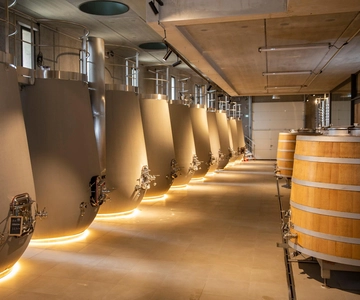 From Aix-en-Provence : Wine, Olive Oil and Scenic Villages