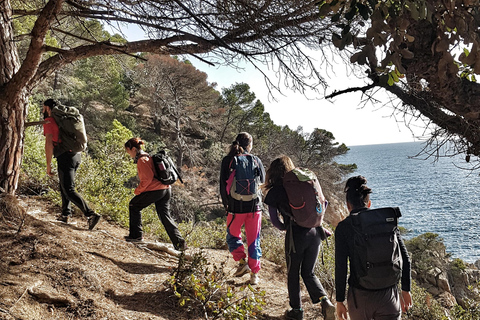 Costa Brava : A la découverte des plages, de la randonnée et de la baignadeCosta Brava : Excursion à la plage avec randonnée et baignade