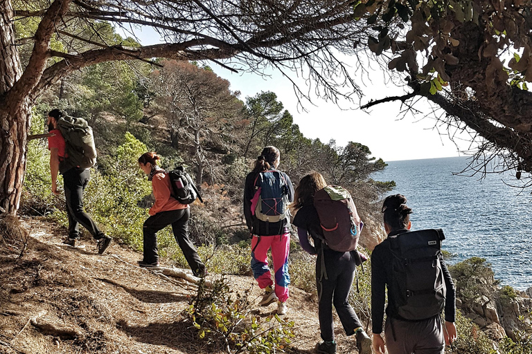 Costa Brava: Discovering Beaches, Hiking, and Swimming Costa Brava: Beach Tour With Hiking And Swimming