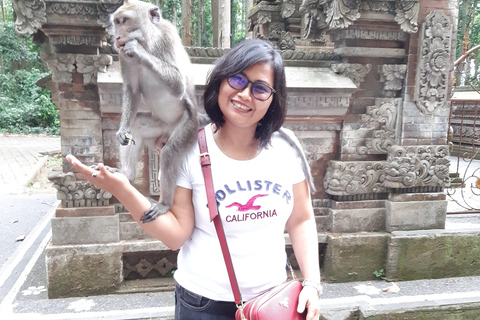 Bali: Danza Barong, foresta delle scimmie, Taman Ayun e Tanah Lot
